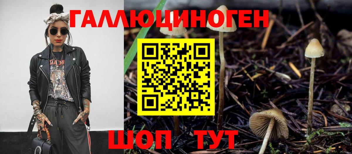 Комсомольск-на-Амуре  Галлюциногенные грибы мицелий  Вход с VPN 